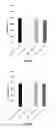 Fig. 08 - Method for increasing the specific production rate of eukaryotic cells