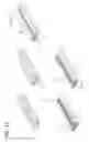 Fig. 26 - SELF-ASSEMBLING MULTICELLULAR BODIES AND METHODS OF PRODUCING A THREE-DIMENSIONAL BIOLOGICAL STRUCTURE USING THE SAME