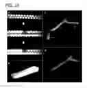 Fig. 30 - SELF-ASSEMBLING MULTICELLULAR BODIES AND METHODS OF PRODUCING A THREE-DIMENSIONAL BIOLOGICAL STRUCTURE USING THE SAME