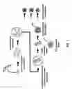 Fig. 02 - METHODS OF REPROGRAMMING ANIMAL SOMATIC CELLS