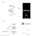 Fig. 02 - HUMAN PLURIPOTENT STEM CELLS PRODUCED BY SOMATIC CELL NUCLEAR TRANSFER