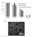 Fig. 03 - HUMAN PLURIPOTENT STEM CELLS PRODUCED BY SOMATIC CELL NUCLEAR TRANSFER