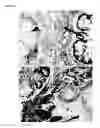 Fig. 14 - HUMAN PLURIPOTENT STEM CELLS PRODUCED BY SOMATIC CELL NUCLEAR TRANSFER