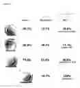 Fig. 18 - HUMAN PLURIPOTENT STEM CELLS PRODUCED BY SOMATIC CELL NUCLEAR TRANSFER