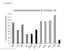Fig. 27 - HUMAN PLURIPOTENT STEM CELLS PRODUCED BY SOMATIC CELL NUCLEAR TRANSFER