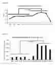 Fig. 30 - HUMAN PLURIPOTENT STEM CELLS PRODUCED BY SOMATIC CELL NUCLEAR TRANSFER