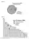 Fig. 34 - HUMAN PLURIPOTENT STEM CELLS PRODUCED BY SOMATIC CELL NUCLEAR TRANSFER
