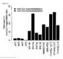 Fig. 35 - HUMAN PLURIPOTENT STEM CELLS PRODUCED BY SOMATIC CELL NUCLEAR TRANSFER