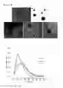 Fig. 09 - CELL PROGRAMMING