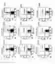 Fig. 11 - Method for priming of T cells