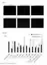 Fig. 03 - METHODS AND PRODUCTS FOR TRANSFECTING CELLS