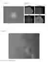 Fig. 04 - METHODS AND PRODUCTS FOR TRANSFECTING CELLS