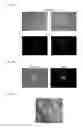 Fig. 06 - METHODS AND PRODUCTS FOR TRANSFECTING CELLS