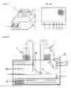 Fig. 10 - METHODS AND PRODUCTS FOR TRANSFECTING CELLS