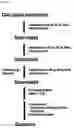 Fig. 03 - Composition including Stem Cell-Derived Exosome for Inducing Adipogenic Differentiation and Adipose Tissue Regeneration
