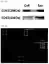 Fig. 05 - Composition including Stem Cell-Derived Exosome for Inducing Adipogenic Differentiation and Adipose Tissue Regeneration