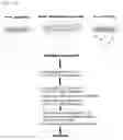 Fig. 13 - Composition including Stem Cell-Derived Exosome for Inducing Adipogenic Differentiation and Adipose Tissue Regeneration