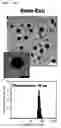 Fig. 15 - Composition including Stem Cell-Derived Exosome for Inducing Adipogenic Differentiation and Adipose Tissue Regeneration