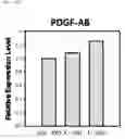 Fig. 22 - Composition including Stem Cell-Derived Exosome for Inducing Adipogenic Differentiation and Adipose Tissue Regeneration