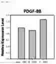 Fig. 23 - Composition including Stem Cell-Derived Exosome for Inducing Adipogenic Differentiation and Adipose Tissue Regeneration