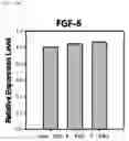 Fig. 24 - Composition including Stem Cell-Derived Exosome for Inducing Adipogenic Differentiation and Adipose Tissue Regeneration