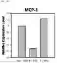 Fig. 25 - Composition including Stem Cell-Derived Exosome for Inducing Adipogenic Differentiation and Adipose Tissue Regeneration