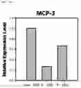 Fig. 26 - Composition including Stem Cell-Derived Exosome for Inducing Adipogenic Differentiation and Adipose Tissue Regeneration