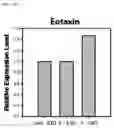 Fig. 27 - Composition including Stem Cell-Derived Exosome for Inducing Adipogenic Differentiation and Adipose Tissue Regeneration