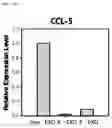 Fig. 28 - Composition including Stem Cell-Derived Exosome for Inducing Adipogenic Differentiation and Adipose Tissue Regeneration
