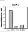 Fig. 29 - Composition including Stem Cell-Derived Exosome for Inducing Adipogenic Differentiation and Adipose Tissue Regeneration