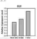 Fig. 34 - Composition including Stem Cell-Derived Exosome for Inducing Adipogenic Differentiation and Adipose Tissue Regeneration