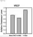 Fig. 37 - Composition including Stem Cell-Derived Exosome for Inducing Adipogenic Differentiation and Adipose Tissue Regeneration