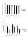 Fig. 06 - Method for inducing cardiac differentiation of pluripotent stem cell with low-molecular compounds