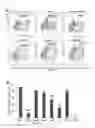 Fig. 08 - Method for inducing cardiac differentiation of pluripotent stem cell with low-molecular compounds