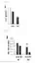 Fig. 15 - Method for inducing cardiac differentiation of pluripotent stem cell with low-molecular compounds