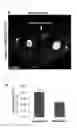 Fig. 17 - Method for inducing cardiac differentiation of pluripotent stem cell with low-molecular compounds