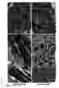 Fig. 18 - Method for inducing cardiac differentiation of pluripotent stem cell with low-molecular compounds