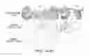 Fig. 04 - METHOD FOR CULTURE OF HUMAN BLADDER CELL LINES AND ORGANOIDS AND USES THEREOF