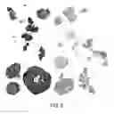 Fig. 07 - METHOD FOR CULTURE OF HUMAN BLADDER CELL LINES AND ORGANOIDS AND USES THEREOF