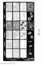 Fig. 11 - METHOD FOR CULTURE OF HUMAN BLADDER CELL LINES AND ORGANOIDS AND USES THEREOF