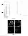Fig. 14 - METHOD FOR CULTURE OF HUMAN BLADDER CELL LINES AND ORGANOIDS AND USES THEREOF