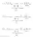 Fig. 02 - Diketoreductase mutant and application thereof