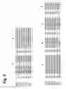 Fig. 05 - Pharmaceutical compositions and dermatogic compositions synthesized from catalytic domains producing highly α1,2 branched dextrans