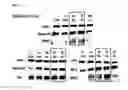 Fig. 14 - Method of differentiating adult stem cells into nerve cells by using high-intensity electromagnetic field