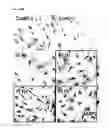 Fig. 18 - Method of differentiating adult stem cells into nerve cells by using high-intensity electromagnetic field
