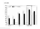Fig. 23 - Method of differentiating adult stem cells into nerve cells by using high-intensity electromagnetic field