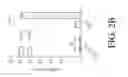 Fig. 05 - Coupling endonucleases with end-processing enzymes drives high efficiency gene disruption