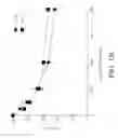 Fig. 27 - Coupling endonucleases with end-processing enzymes drives high efficiency gene disruption