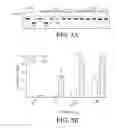 Fig. 10 - Coupling endonucleases with end-processing enzymes drives high efficiency gene disruption