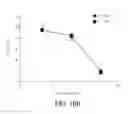 Fig. 29 - Coupling endonucleases with end-processing enzymes drives high efficiency gene disruption